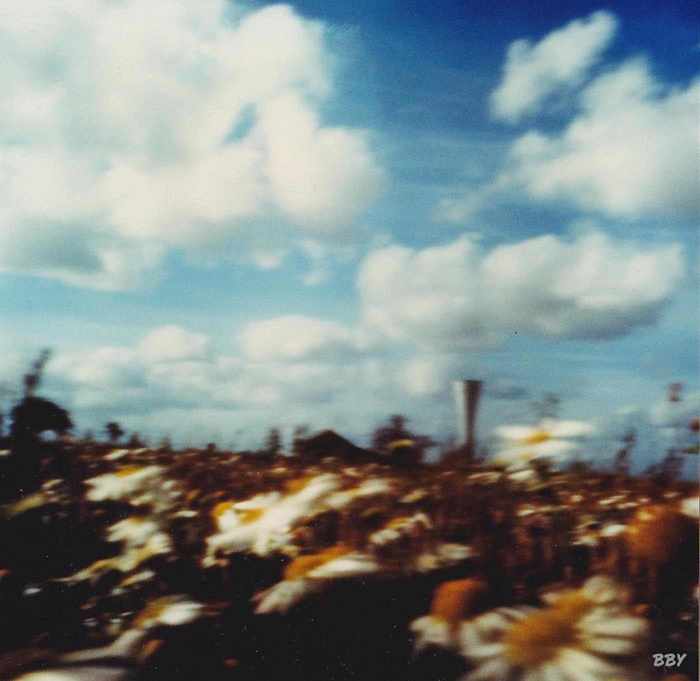 stenope,  pinhole,  slow photography,  chambre noire,  margueritte