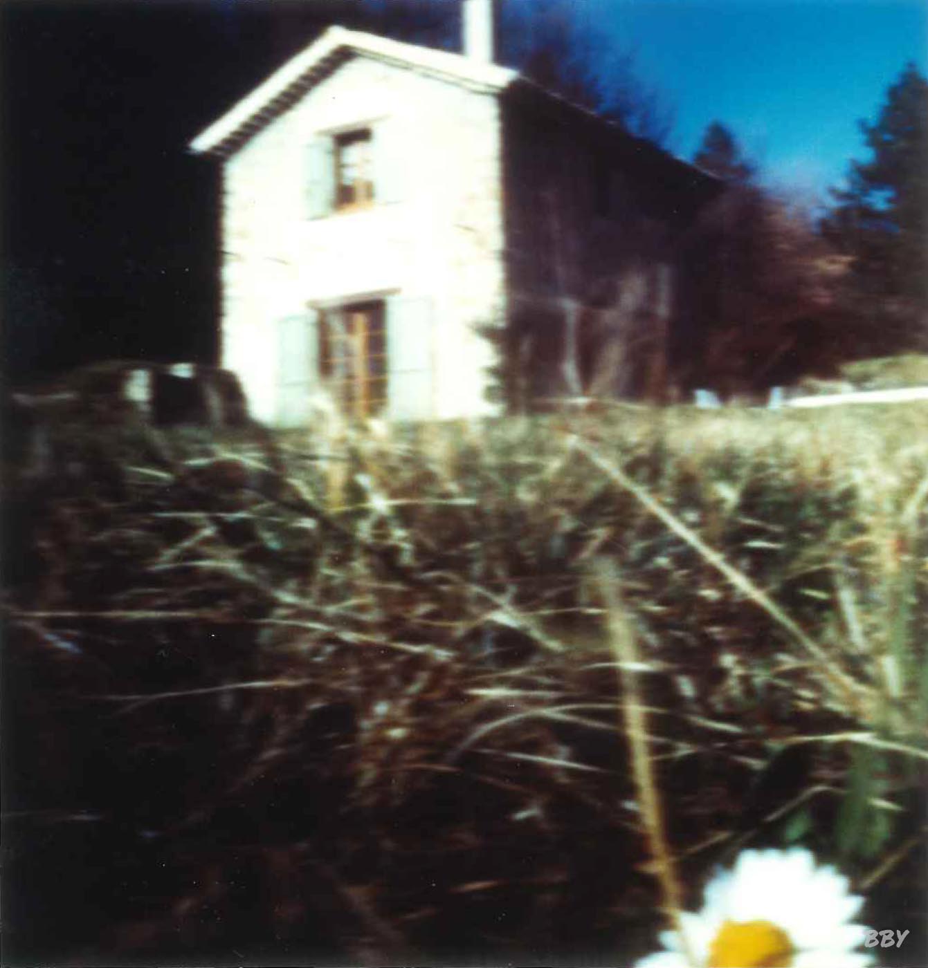 stenope,  pinhole,  slow photography,  chambre noire,  margueritte,  daisy,  maison