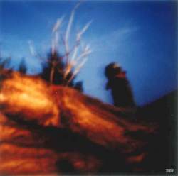 Provence,  2016, stenope,  pinhole,  slow photography,  chambre noire