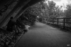 Shaws Bridge,  Belfast,  2024, River,  Lagan