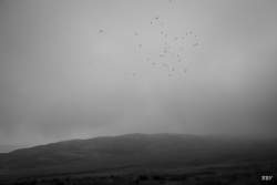 Slieve Croob,  2024, River,  Lagan