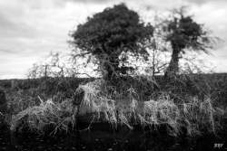 Clarehill Rd,  Moira,  2025, River,  Lagan