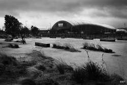 Cardiff,  2015, DoctorWho,  Arbre,  Paysage