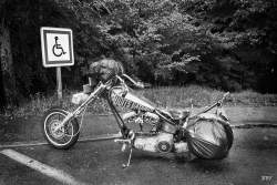 2015, batard,  harley davison,  moto,  pluie,  voyage,  moto,  vehicule