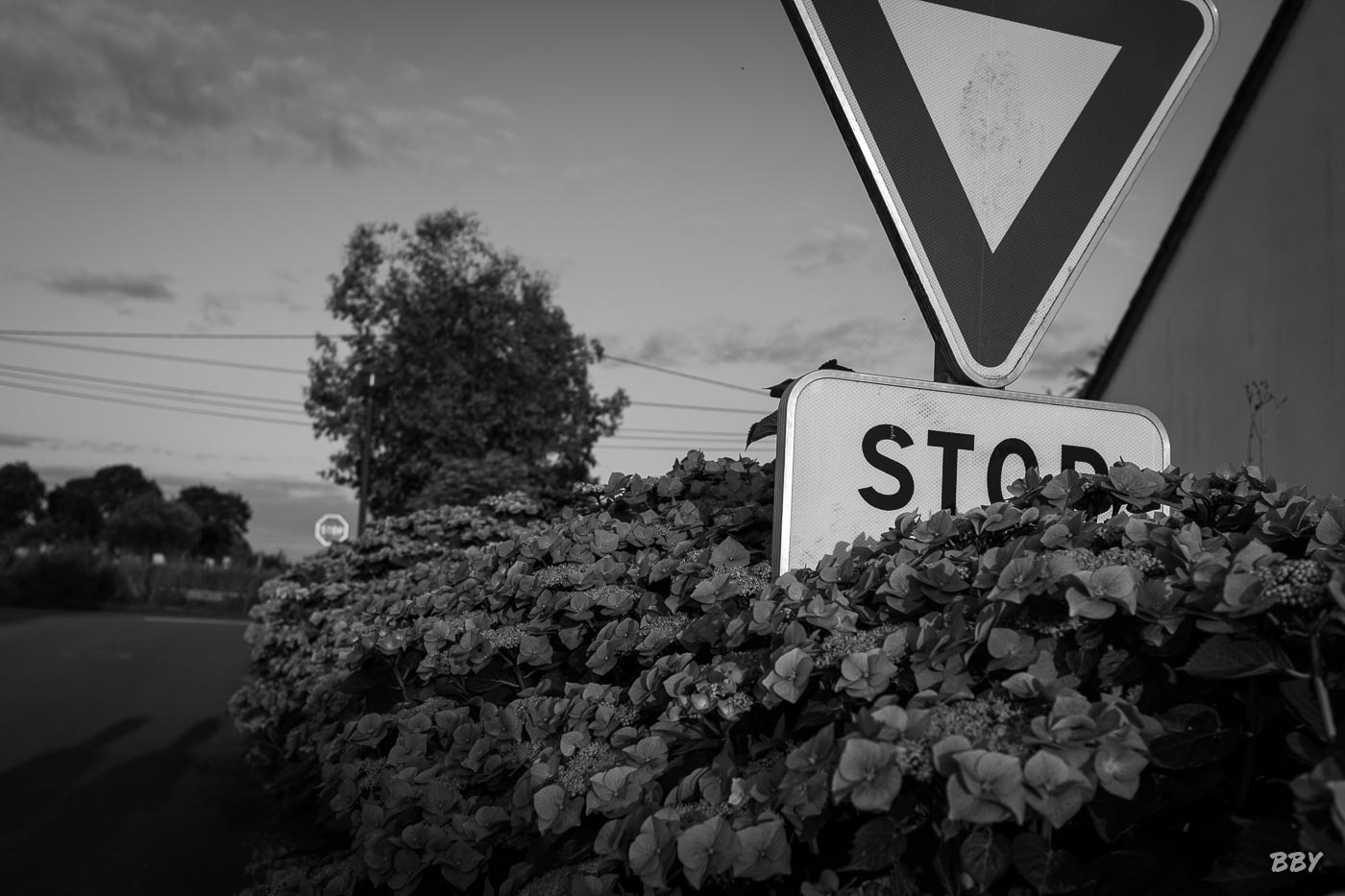 Arbre,  Panneau de signalisation,  Paysage