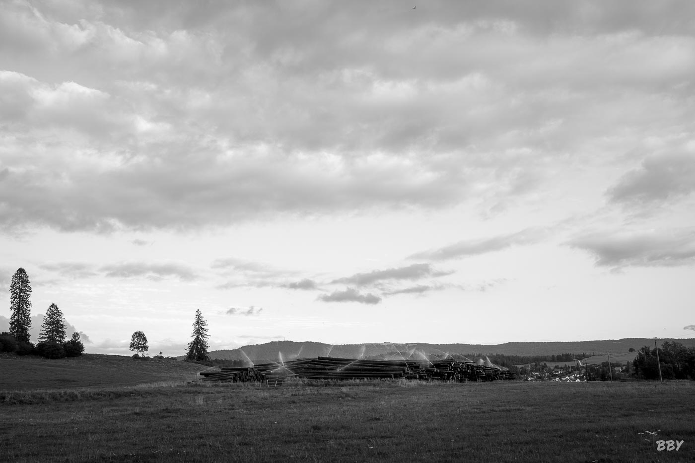 Arbre,  Paysage