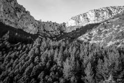 Gemenos,  2020, Arbre,  Paysage,  foret,  montagne moyenne