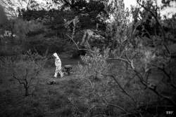 Saint Zacharie,  2021, Arbre,  Paysage,  animaux