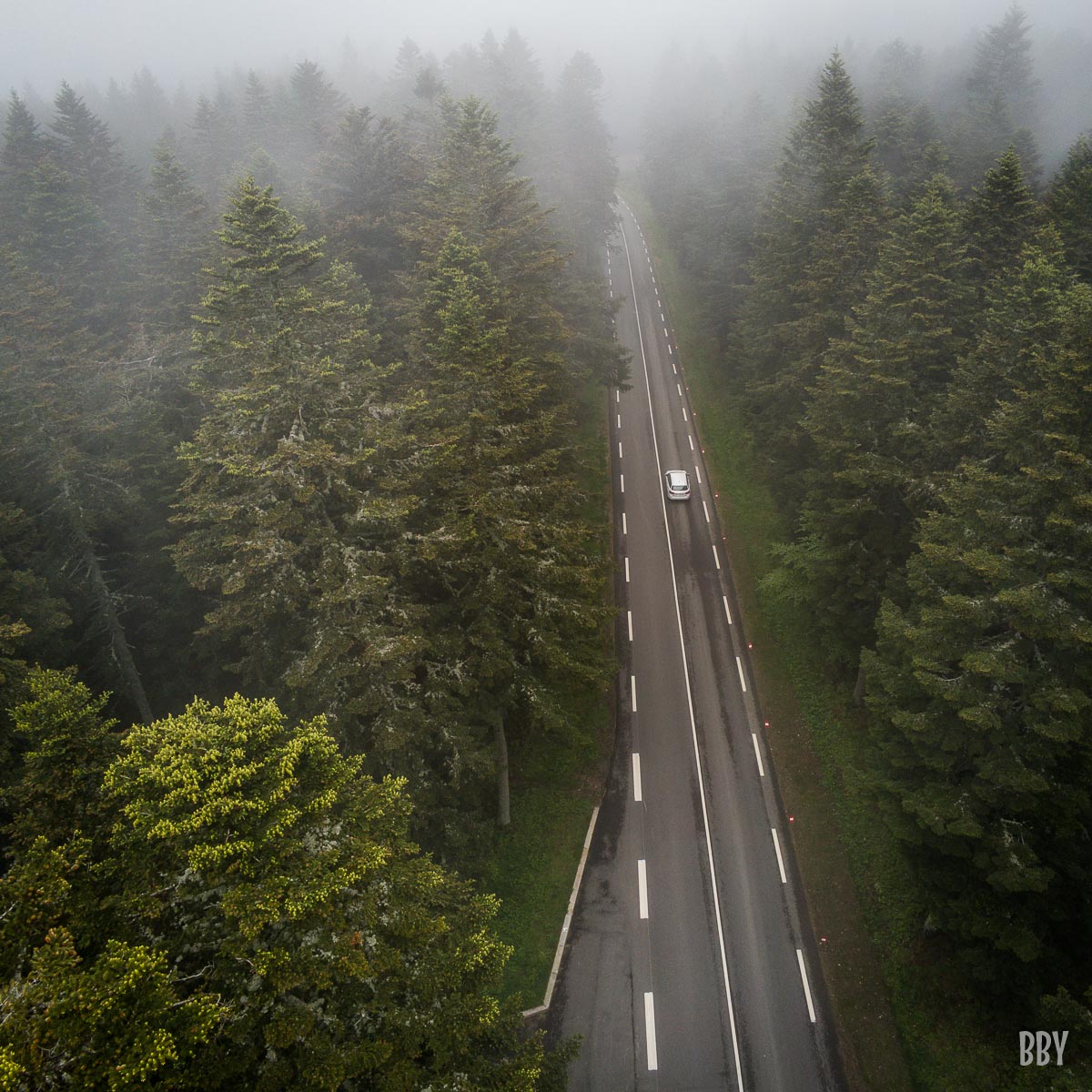 Aerien,  drone,  foret,  vehicule,  voiture