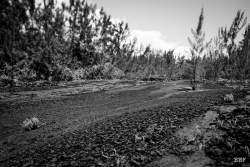 Puits Arabe,  2022, Lave volcan,  Paysage