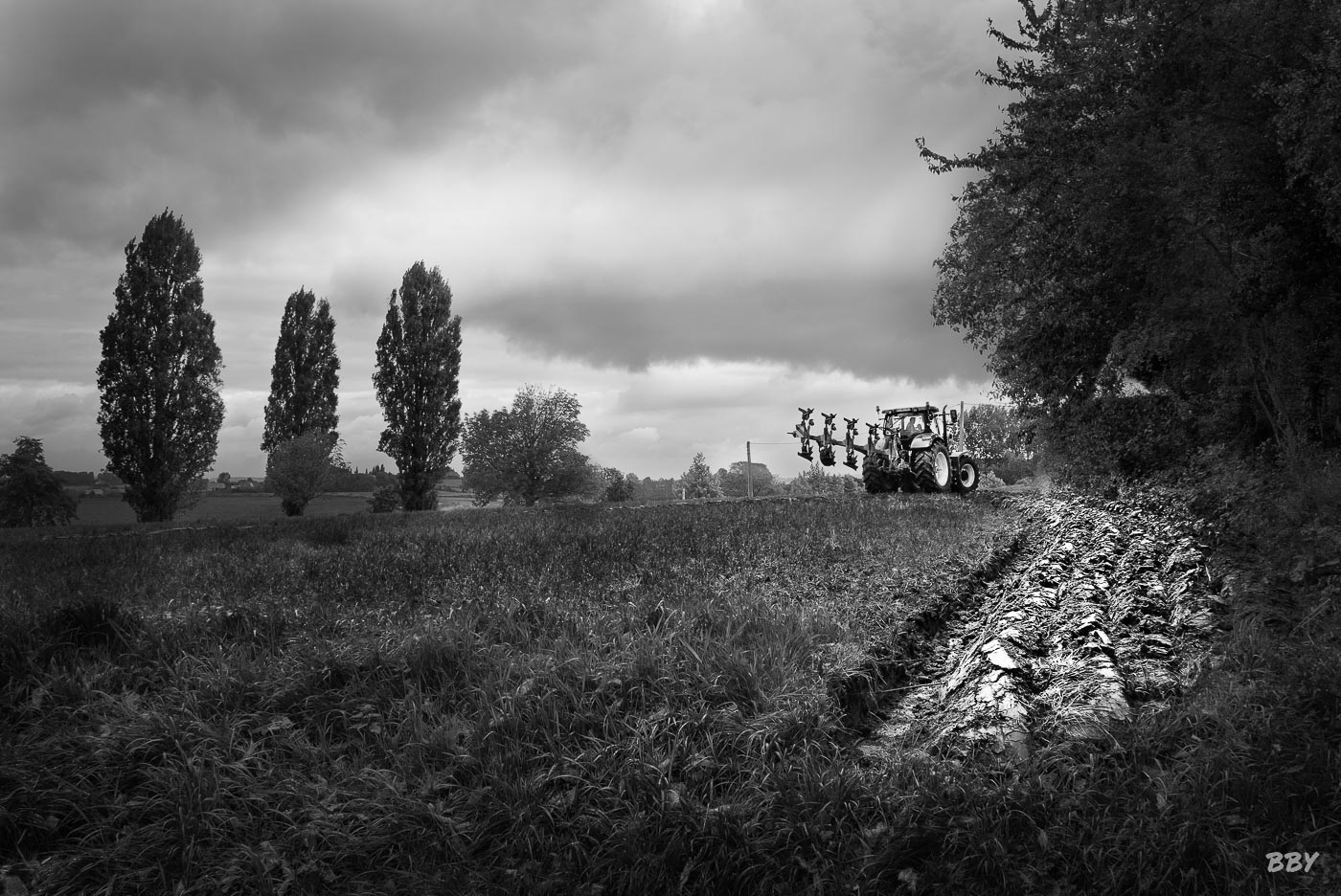tracteur,  labour,  sillon,  champ,  Arbre,  Paysage