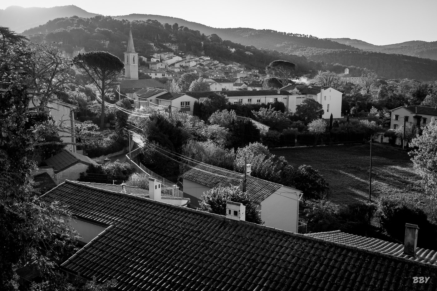 Arbre,  Paysage