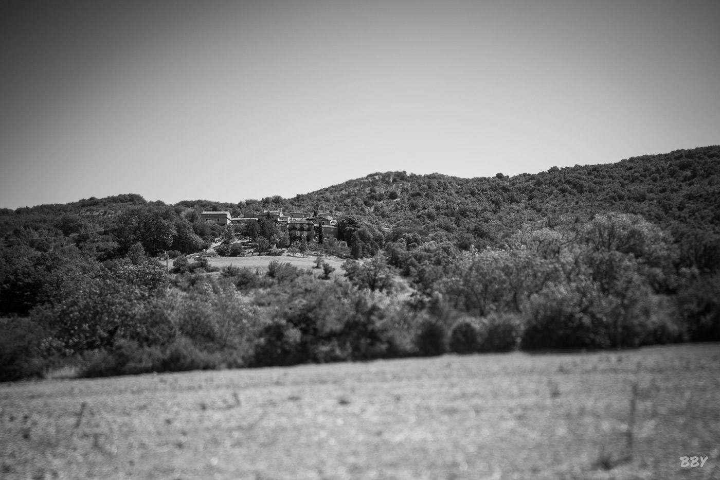 Arbre,  Paysage