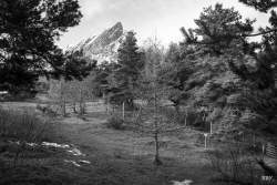 Laye,  2022, Arbre,  Paysage,  montagne moyenne