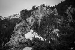 Arvieux,  2022, Arbre,  Paysage