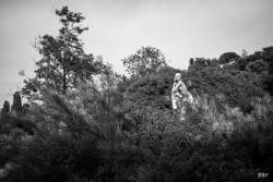 Aubagne,  2022, Paysage,  foret