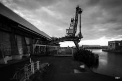 Le Port,  2022, Arbre,  Paysage