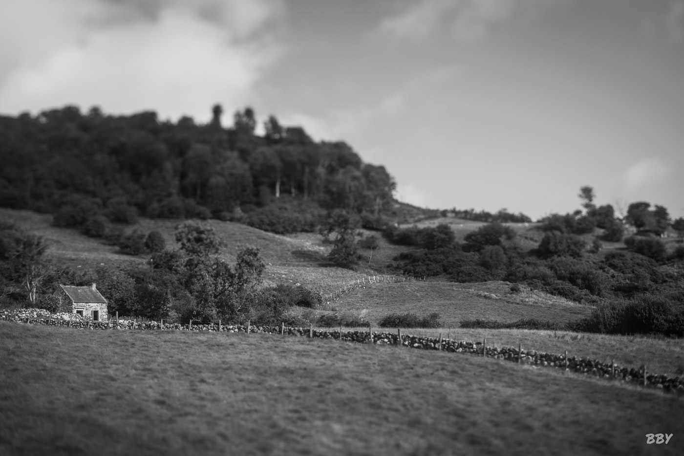 Arbre,  Panneau de signalisation,  Paysage