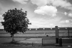 Belfast,  2023, carte postale,  postcard