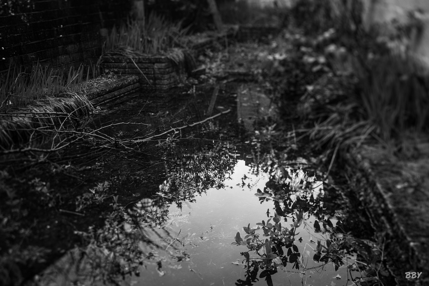 River,  _Lagan