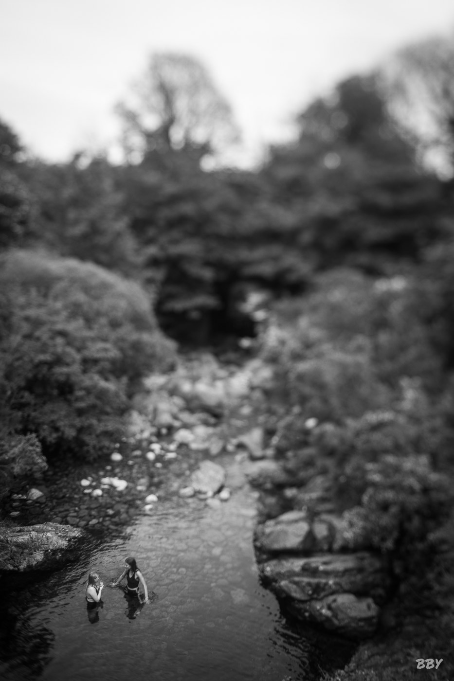 River,  _Lagan