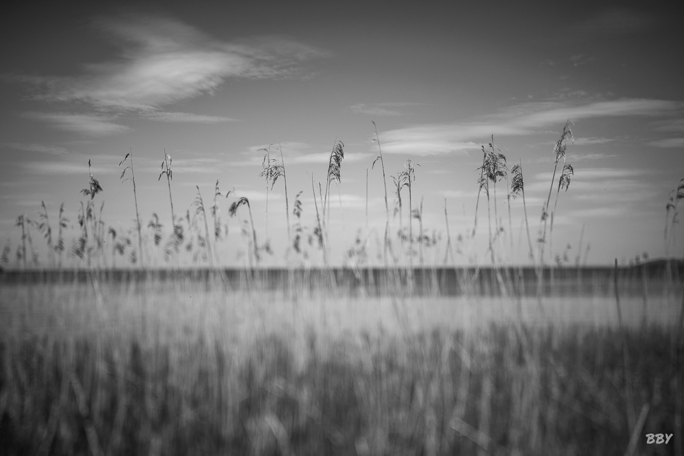 River,  _Lagan