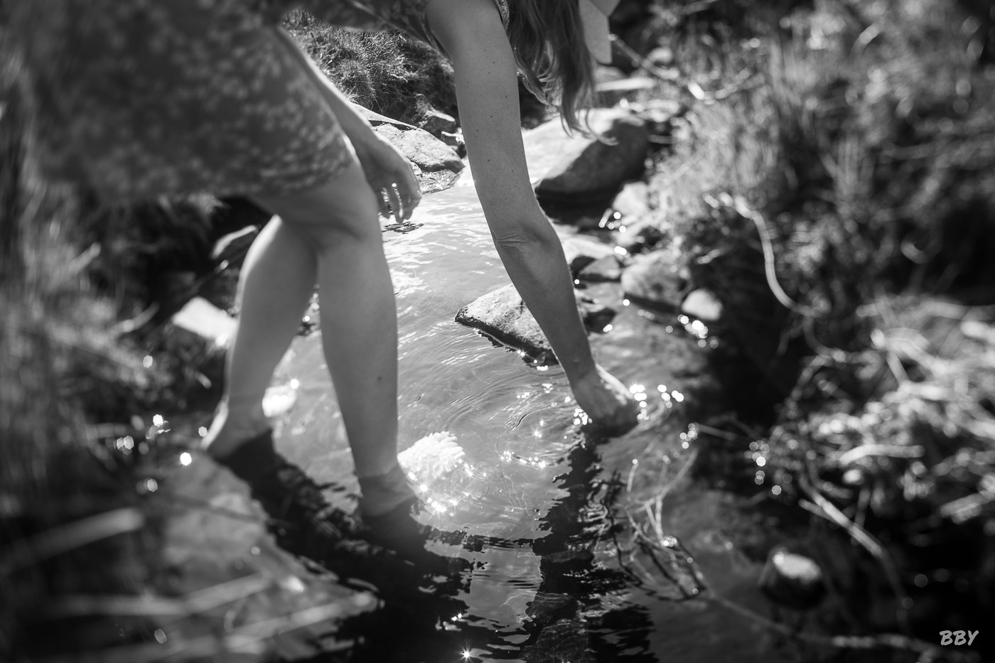 River,  _Lagan
