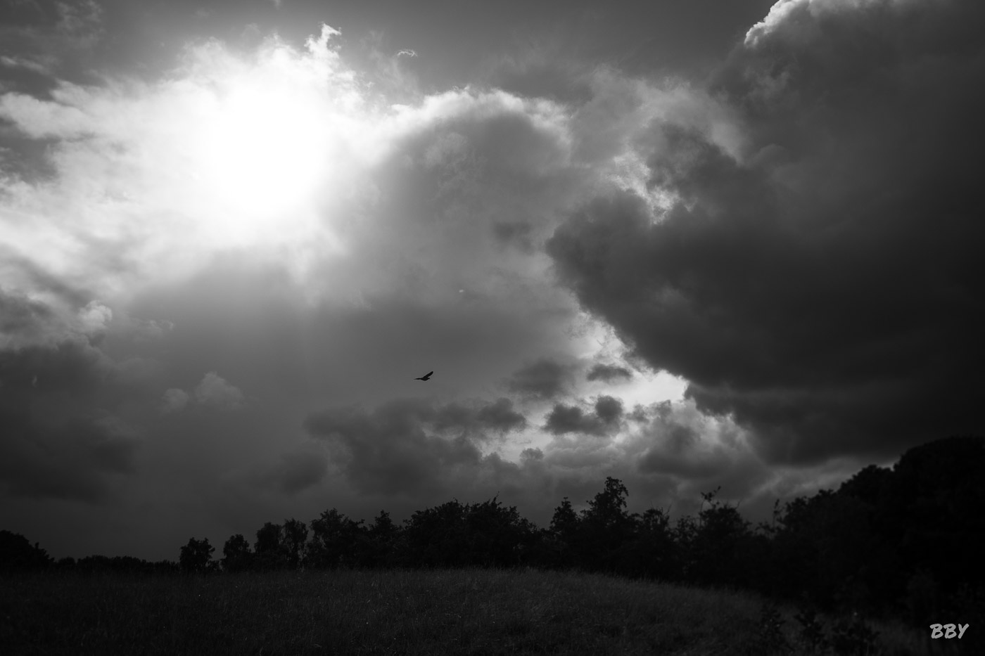 River,  _Lagan