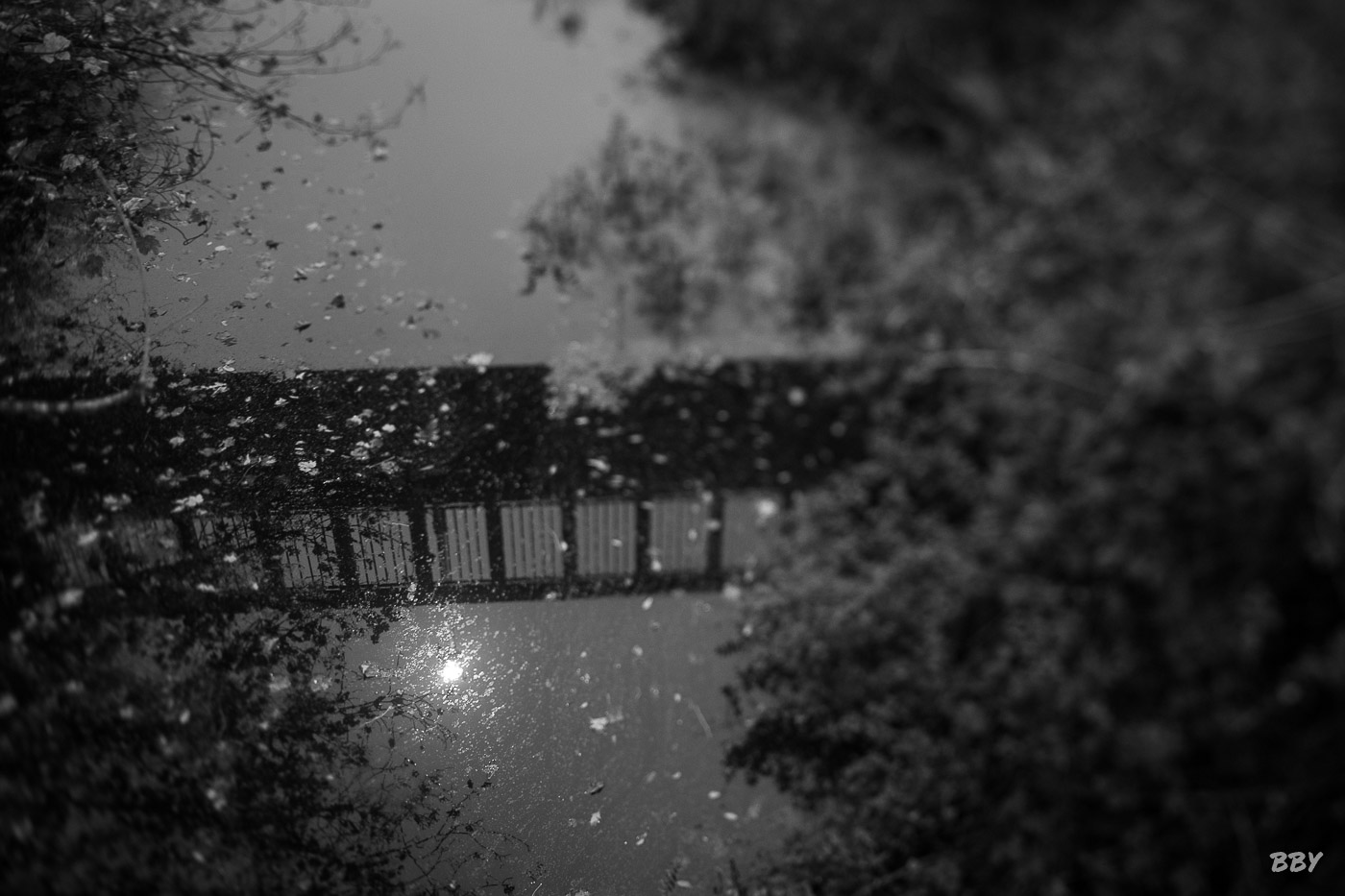 River,  _Lagan