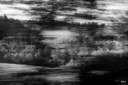 Talare,  2024, River,  _Lagan