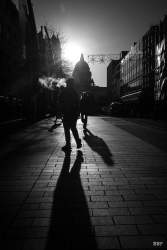 Belfast,  2024, animaux