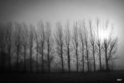 Kilrea,  2024, 