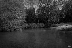 Lough Neagh,  Bartins bay,  2024, River,  _Lagan