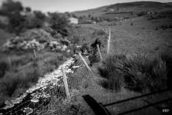 Dree Hill,  2024, River,  _Lagan