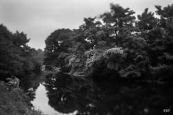 Belfast,  2024, River,  Lagan