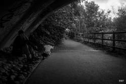 Shaws Bridge,  Belfast,  2024, River,  _Lagan
