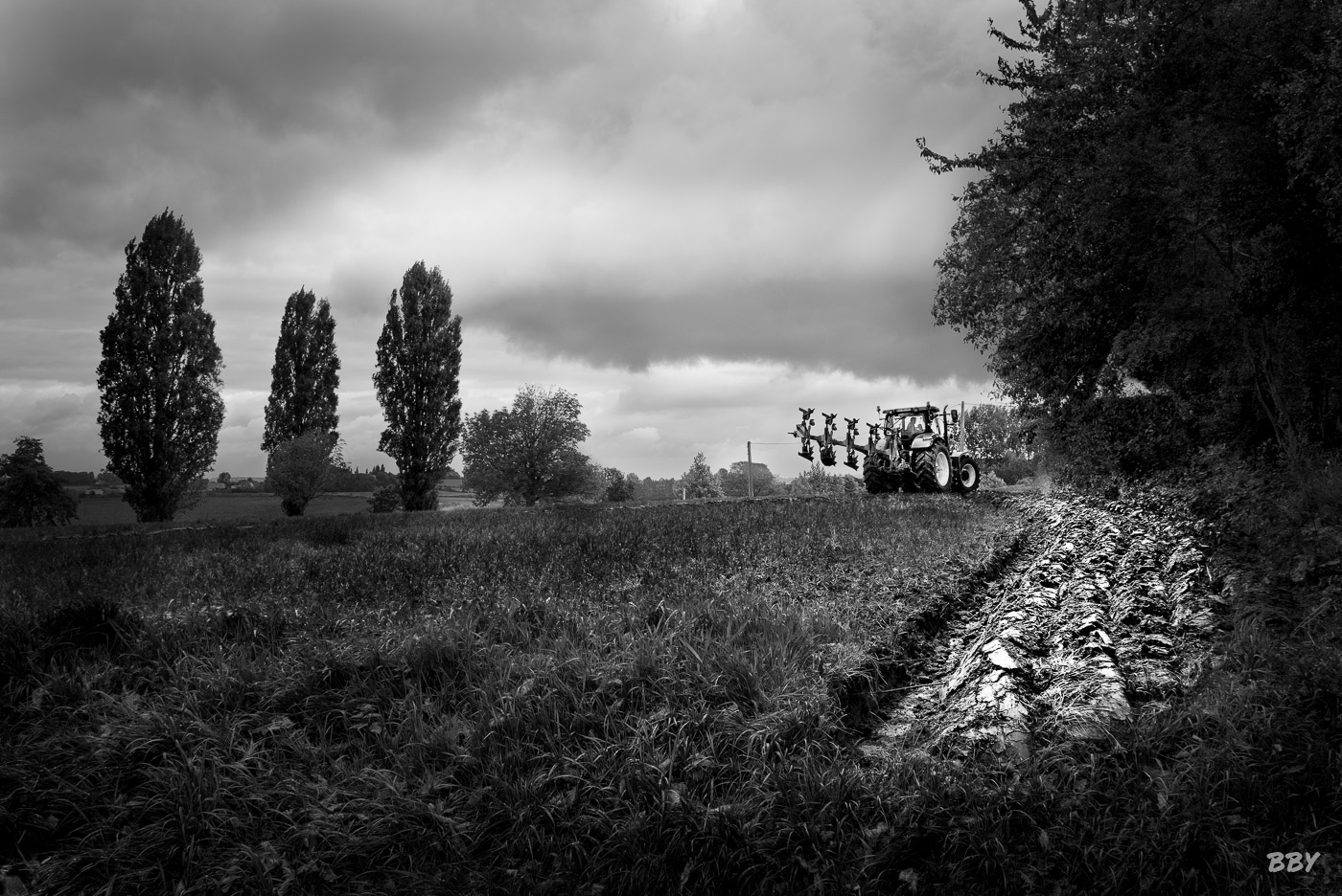 Arbre,  Paysage,  nuage,  extérieur,  paysage,  arbre,  ciel,  plante,  nature,  herbe,  tracteur,  champ,  cloud,  outdoor,  landscape,  tree,  sky,  plant,  nature,  grass,  tractor,  field