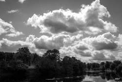 Belfast,  2023, Arbre,  Paysage