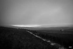 Belfast,  2023, Arbre,  Paysage