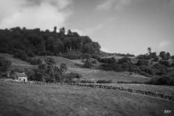 Carnlough,  2023, Arbre,  Panneau de signalisation,  Paysage