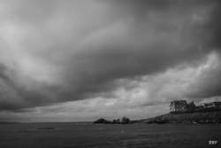 Portballintrae,  2023, Arbre,  Panneau de signalisation,  Paysage