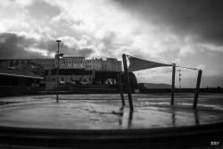 Portstewart,  2023, Arbre,  Panneau de signalisation,  Paysage